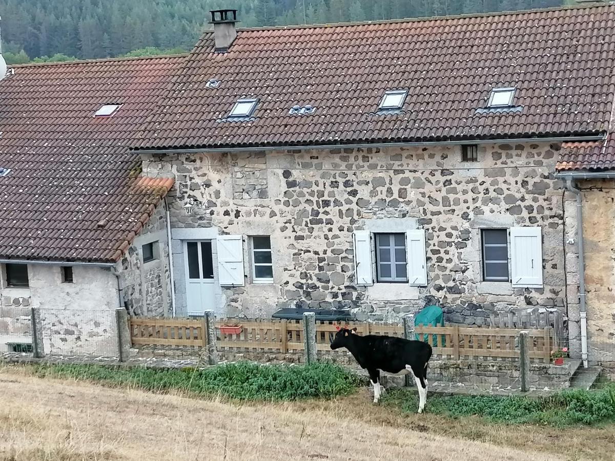 Gite A La Ferme Le Malzieu-Ville Exterior foto